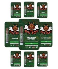 Puff Boyz - NN DMT .5ML (400MG) for sale in Oregon